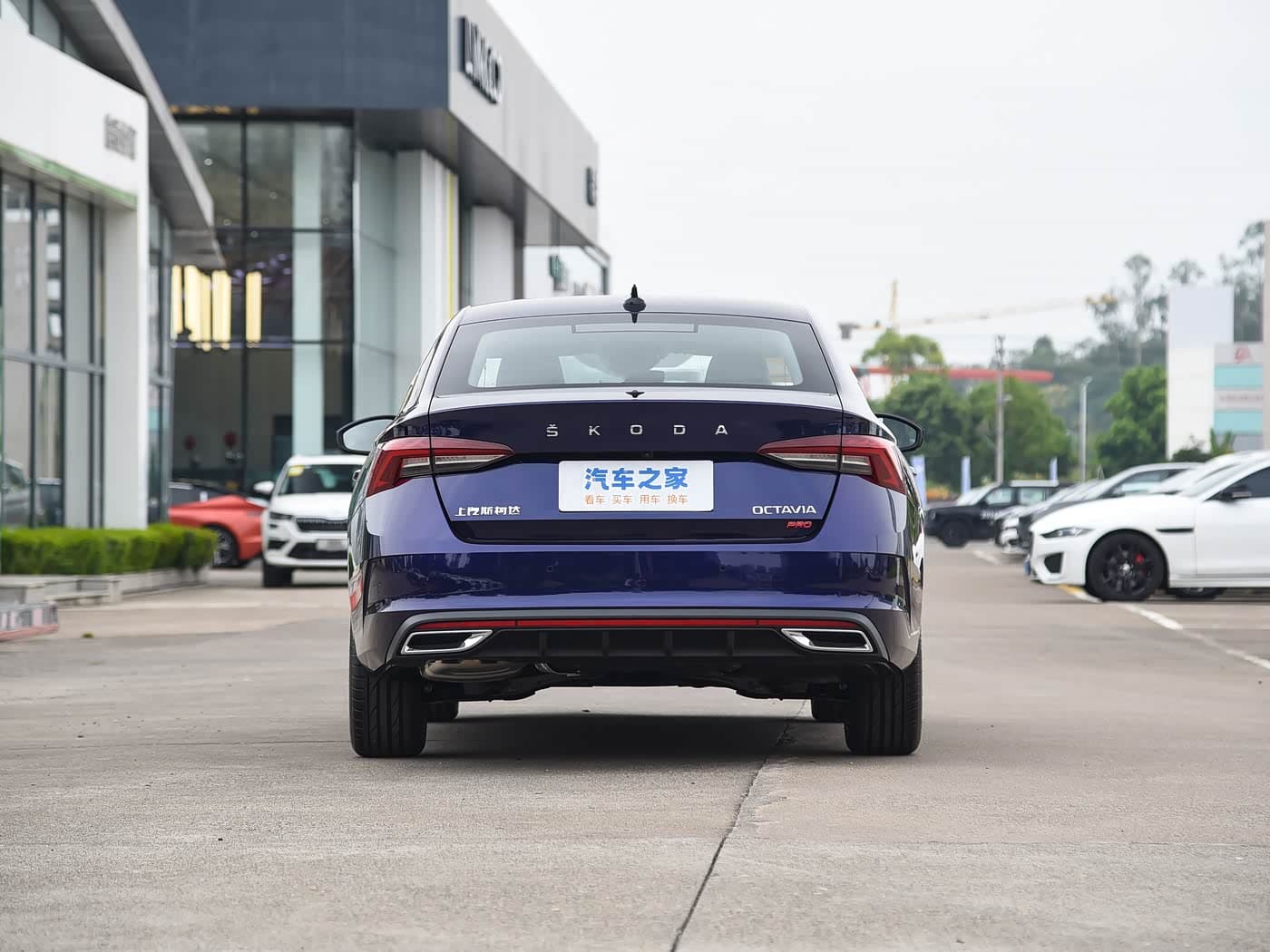 SKODA OCTAVIA — фото 3