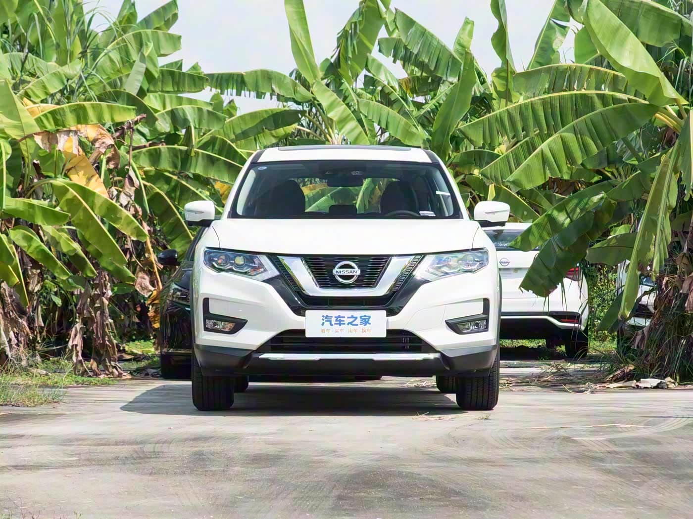 NISSAN X-TRAIL — фото 2